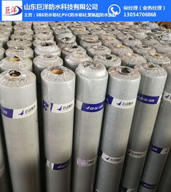 深入解析杭州與山東巨洋耐根穿刺防水卷材 關鍵技術、檢測標準與市場應用